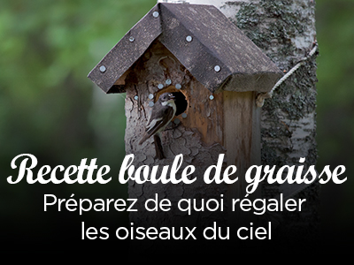 La nature ça se vit !