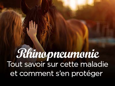 On ne rit pas avec la rhino !