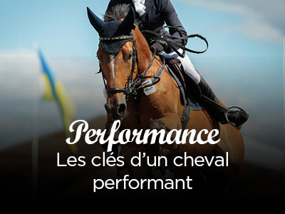 Les clés d'un cheval performant !