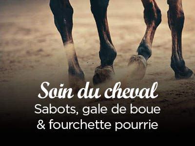 Soins du cheval : sabots humides, fourchettes et gales de boue
