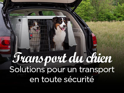 Caisses de transport pour chiens !