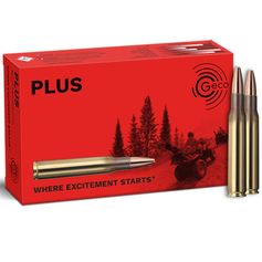 BALLES 30-06 PLUS 170GR