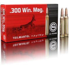 BALLES 300WM SOFT POINT 170GR