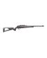 CARABINE XPERT 22LR