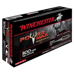 BALLES 300WM POWER MAX 180GR