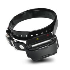 COLLIER SUPP IQ PLUS
