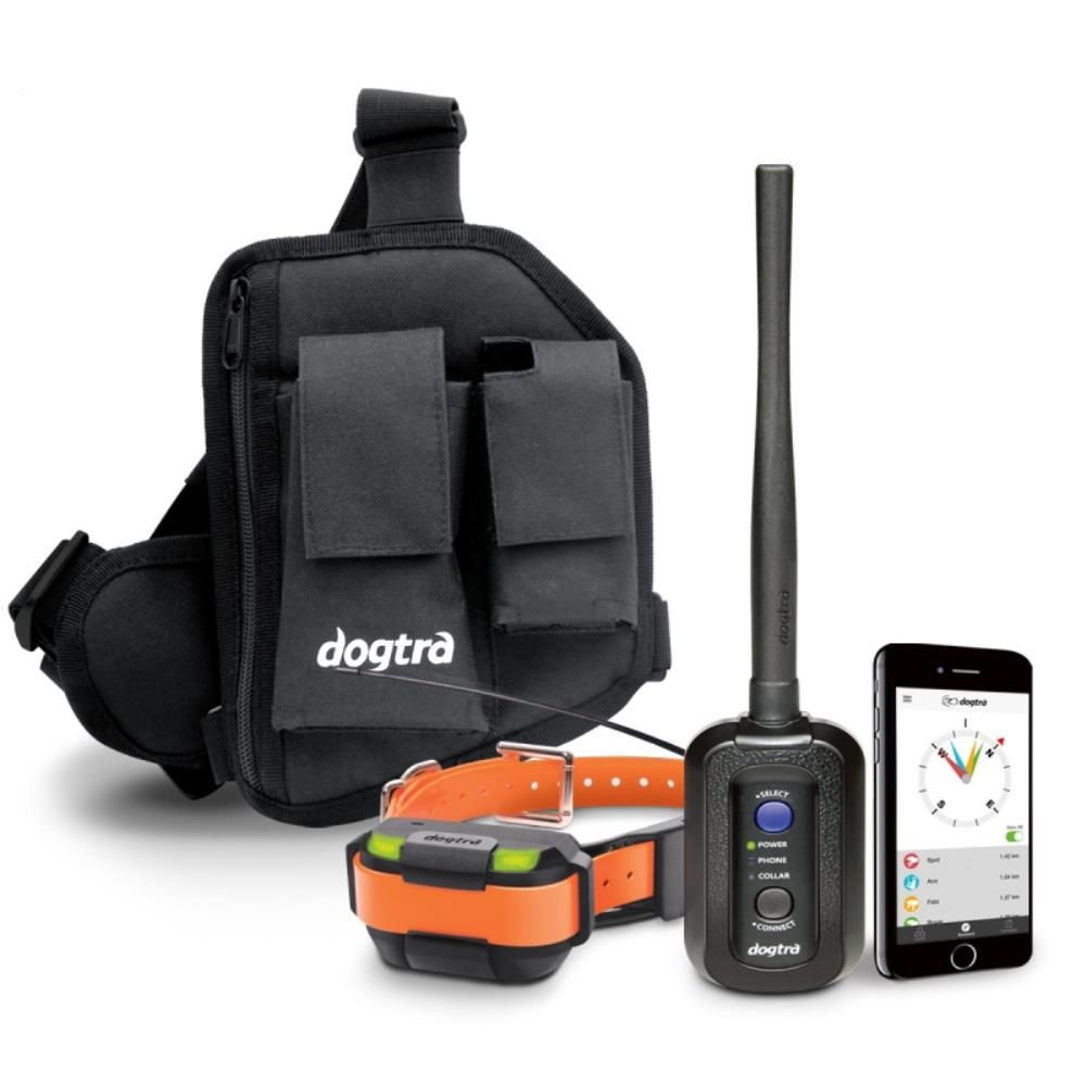 Dogtra pathfinder prix sale