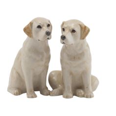 SALIERE ET POIVRIERE LABRADOR