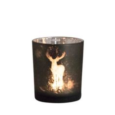 PHOTOPHORE CERF FEU PM