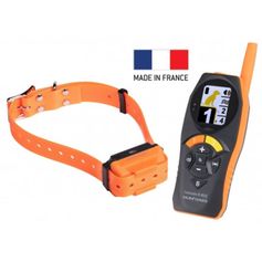 COLLIER DRESSAGE CANICOM R-800