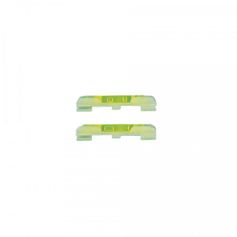 TETE DE SCION "PITTASI" L