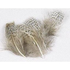 PLUME PERDRIX GRISE