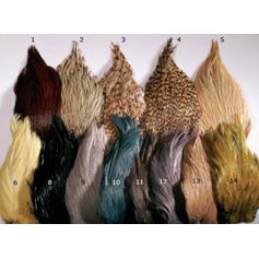 COU INDIEN TOP GRADE N°2 BADGER