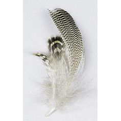 PLUME SARCELLE