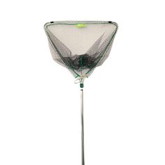 EPUISETTE CARNASSIER 2M10