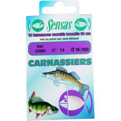 HAMECON MONTE CARNA PERCHE