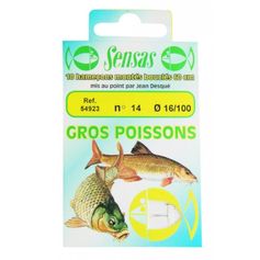 HAMECON MONTES GROS POISSONS