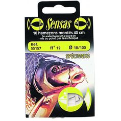 HAMECON MONTE SPECIMEN