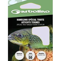 HAMECON MONTE TRUITE ASTICOTS TEIGN