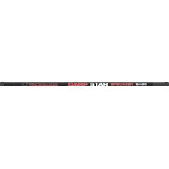 CANNE CARPSTAR 9M00
