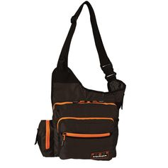 SAC POSTMAN 2.0