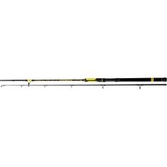 CANNE PERFECT PASSION BOAT SPIN 2M40 50/190G