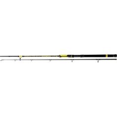 CANNE PERFECT PASSION BOAT SPIN 2M40 50/190G