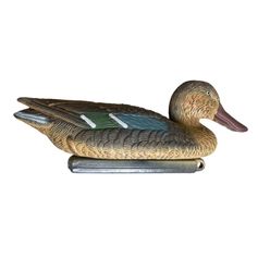 APPELANT SOUCHET FEMELLE