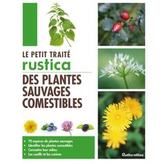 PETIT TRAITE DES PLANTES SAUVAGES COMESTIBLES