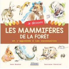 LIVRE JE DECOUVRE LES MAMMIFERES