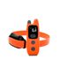 COLLIER DE DRESSAGE 600 M