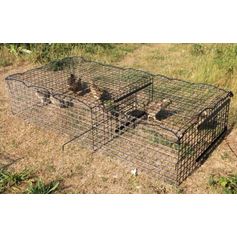 CAGE PRE LACHER PERDRIX 100X200X40