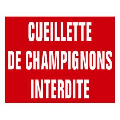 PANNEAU AKILUX CUEILL.CHAMPIGNONS