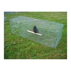 CAGE A CORBEAUX 3 COMPARTIMENTS