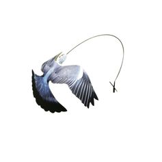 APPELANT PIGEON FLAPPEUR GEN2