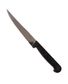COUTEAU STEAK MICRODENTE MANCHE POLYPRO EDI