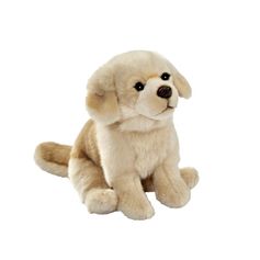 PELUCHE GOLDEN ASSIS 30 CM