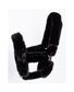 FOURREAU DE LICOL 10 PIECES NOIR