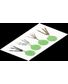 SINKERS EN TUNGSTEN MARRON