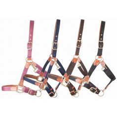 LICOL CUIR ET SANGLE CHEVAL