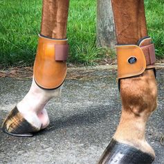 PROTEGE BOULETS PARA CHEVAL