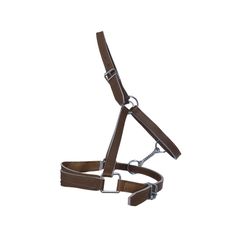 LICOL CUIR CHEVAL DE TRAIT CAMEL