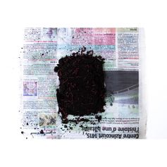 VERS DE VASE TOURBE PORTION