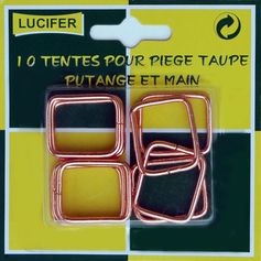 TENTES PUTANGE POUR TAUPE X10