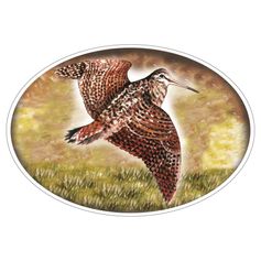 STICKER GRAND MODELE BECASSE