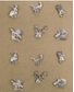 INSIGNES CHAPEAUX ANIMAUX X12