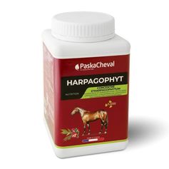 HARPAGOPHYT POUDRE 1KG