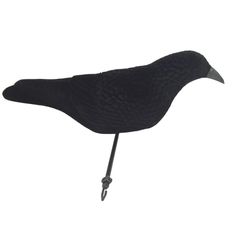 APPELANT CORBEAU COQUILLE MAGNUM FLOQUE