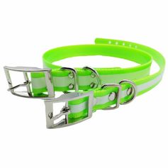 COLLIER CHIEN PHOSPHORESCENT 45CM