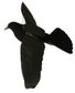 APPELANT CORBEAU STEP-FLAP